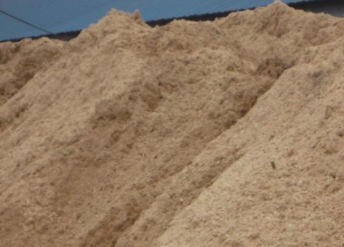 兰花用什么植料养护根系健壮