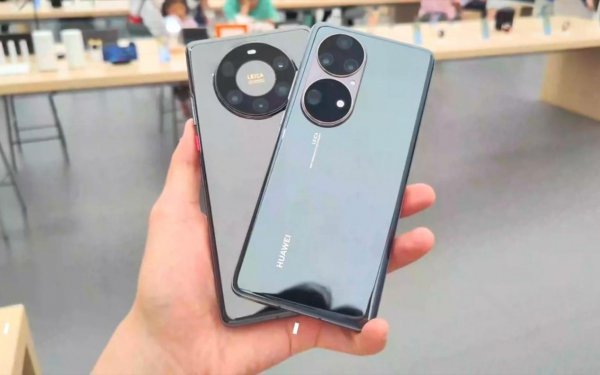 promax是什么意思