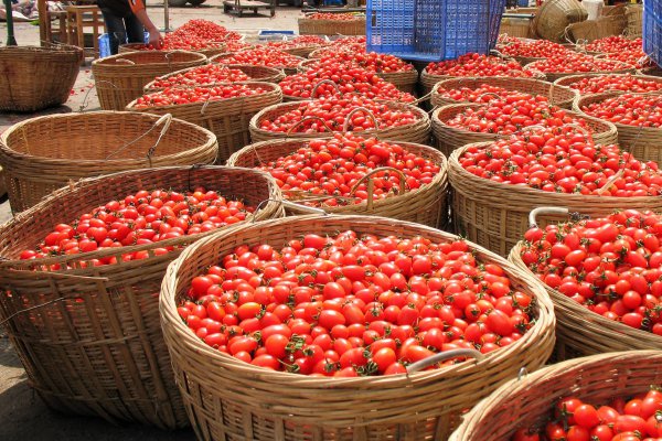 百色特产水果大盘点