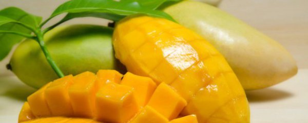 芒果如何保存新鲜