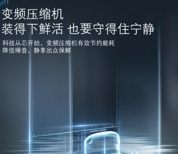 嵌入式冰箱哪个牌子好