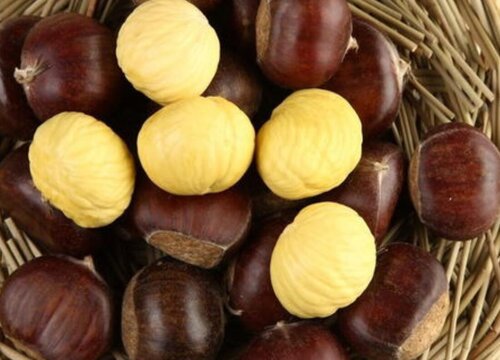 板栗怎么剥又快又好