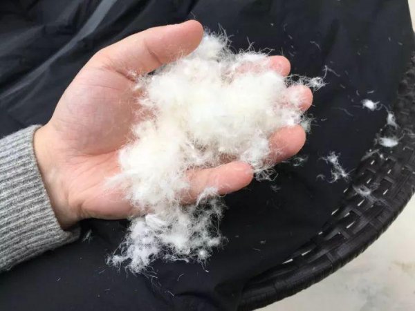 羽绒服怎么选最好正确图片