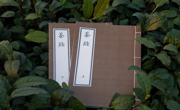 中国六大茶类分别是什么