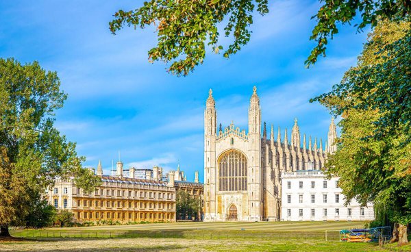 大学哪个专业就业前景好