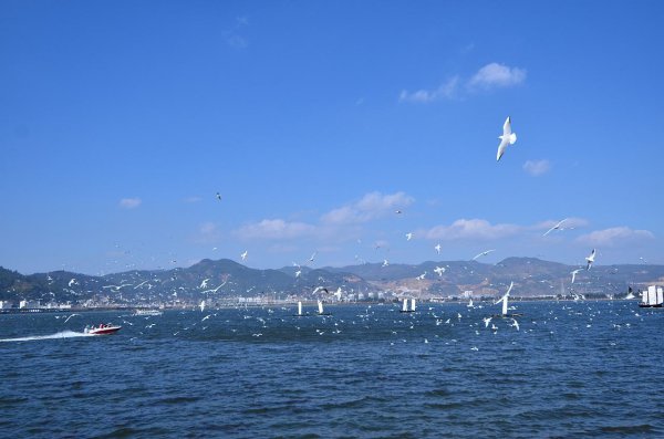 昆明市一日游旅游攻略