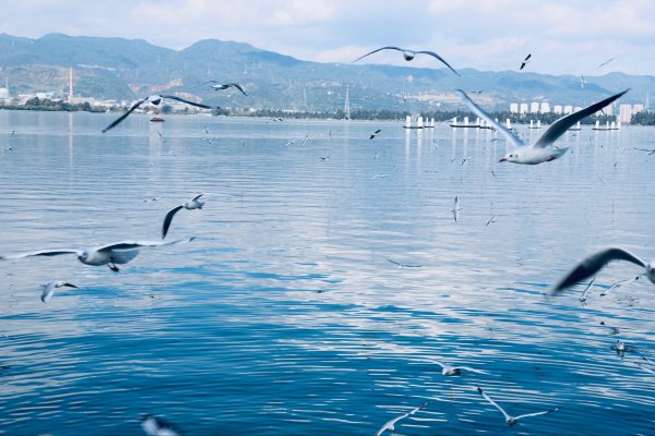 昆明市一日游旅游攻略