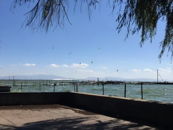 昆明市一日游旅游攻略