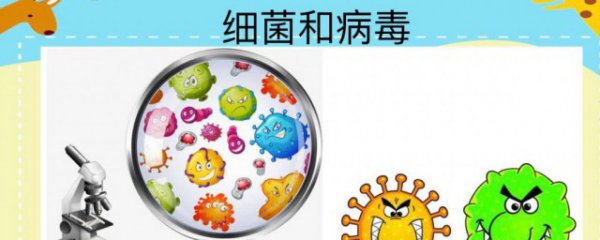 细菌和病毒的主要区别