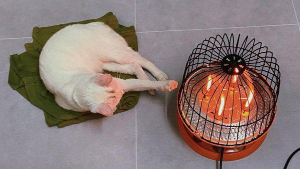 电闸老是跳闸是怎么回事