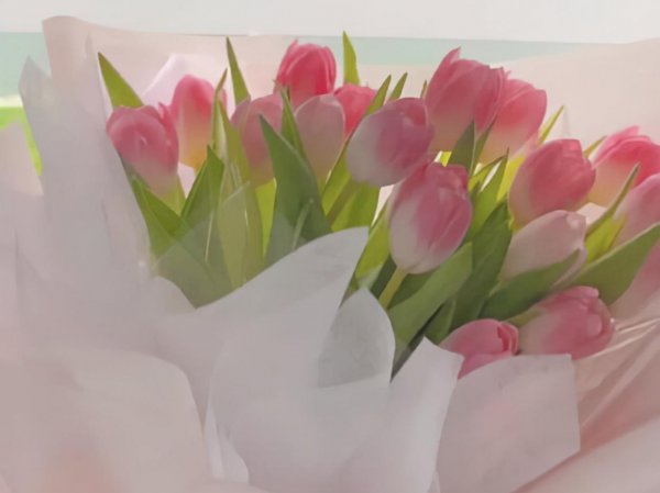 水瓶是什么象星座嘛