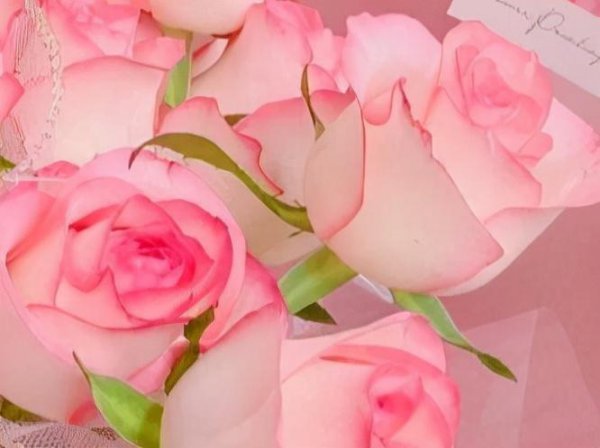 水瓶是什么象星座嘛