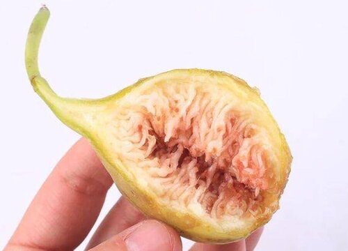 无花果可以泡水喝吗