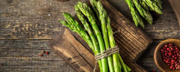 芦笋在家种植方法