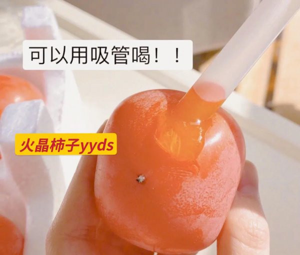 柿子有几种品种图片大全