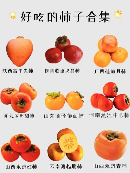 柿子有几种品种图片大全