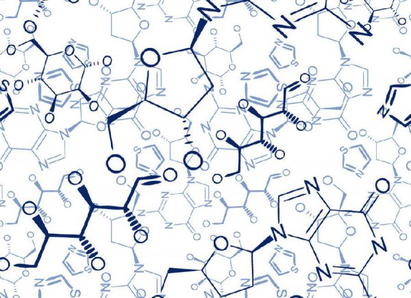有智慧元素之称的是哪种元素
