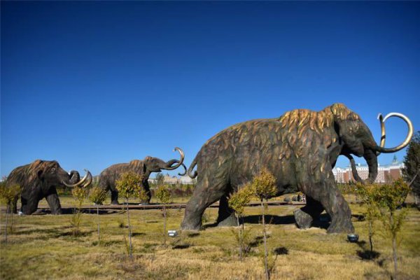 猛犸是什么东西