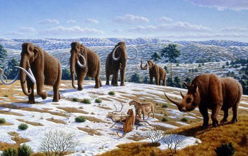 猛犸是什么东西