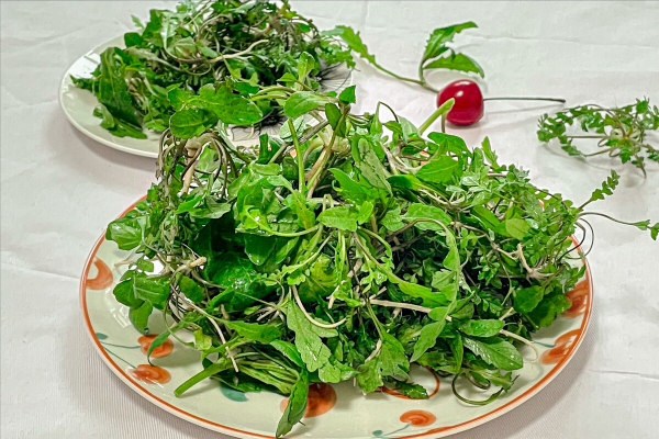 农历三月三日是什么节日