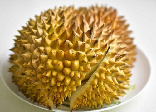 榴莲几月份成熟