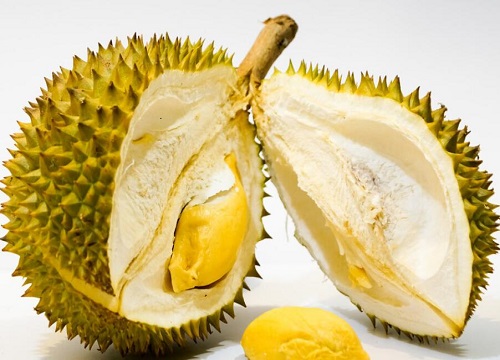 榴莲几月份成熟