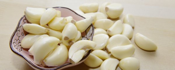 大蒜什么季节种植合适