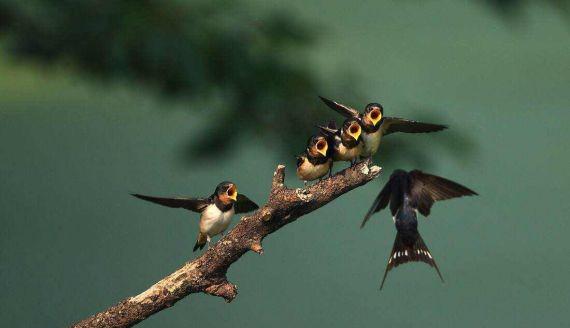 历史上燕京是现在的哪个城市