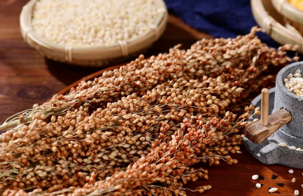 酱酒的知识与了解