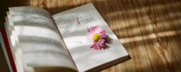 励志文案干净治愈的句子