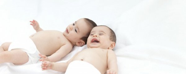 属猪几月出生好命