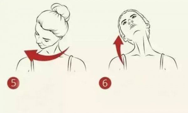 脖子多长cm才算天鹅颈