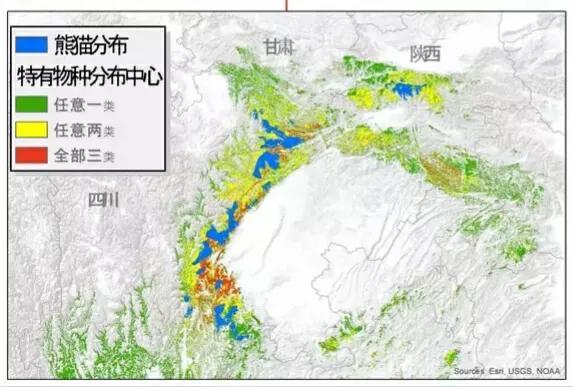大熊猫分布在哪些地区