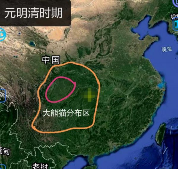 大熊猫分布在哪些地区