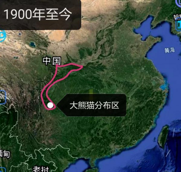 大熊猫分布在哪些地区