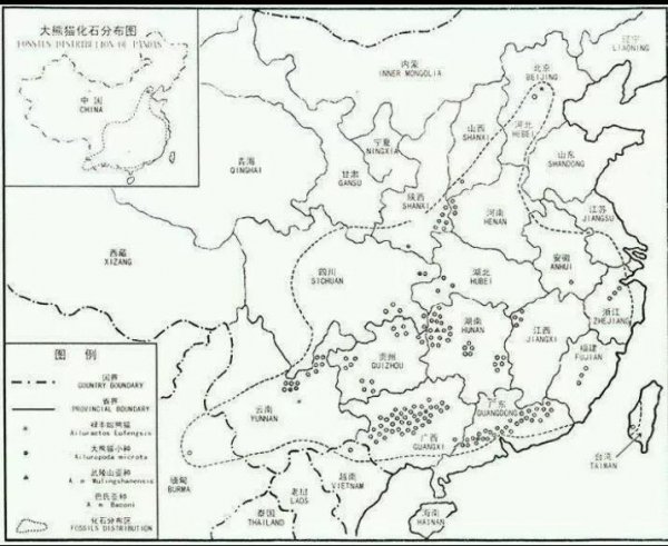 大熊猫分布在哪些地区