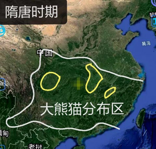 大熊猫分布在哪些地区