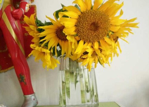 向日葵适合放在卧室吗