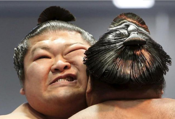 相扑选手平均寿命多少岁