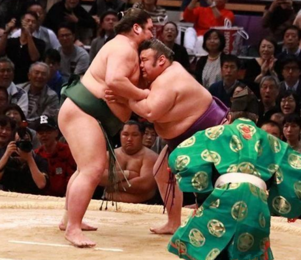 相扑选手平均寿命多少岁