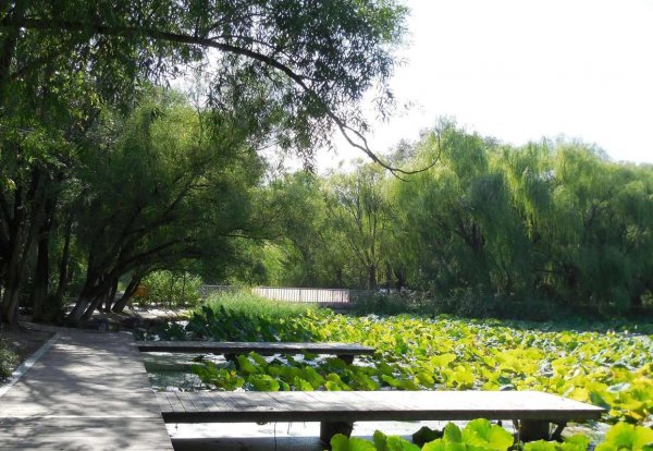 呼和浩特有什么好玩的地方