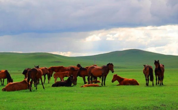 呼和浩特有什么好玩的地方