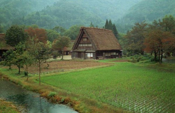 圆坟是第几天为什么