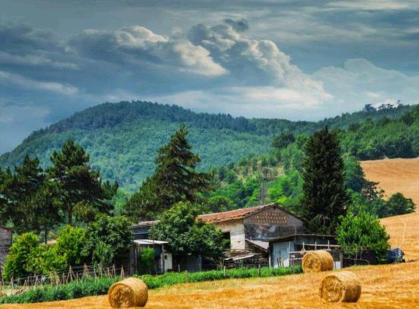 圆坟是第几天为什么