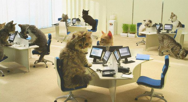 4核和8核有什么区别