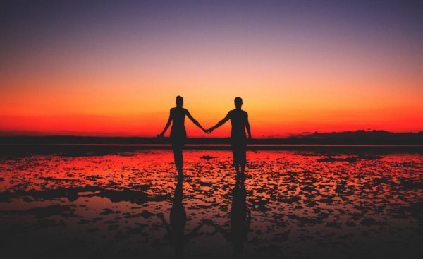 白月光和朱砂痣分别代表什么意思