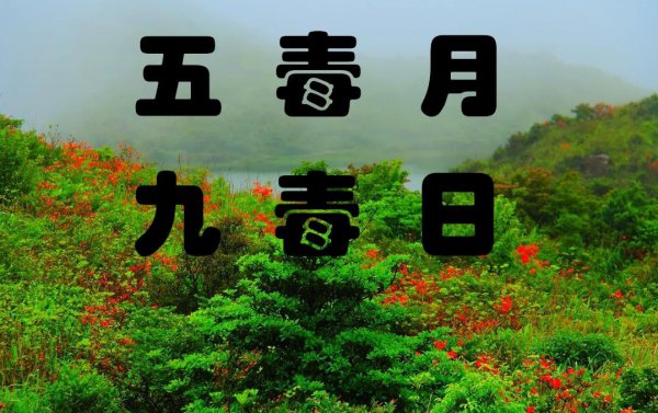 五毒月九毒日是哪几天