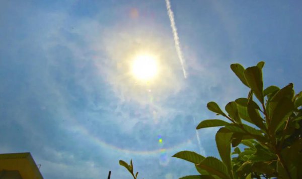 五毒月九毒日是哪几天