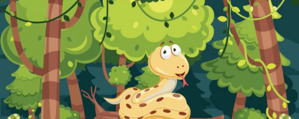 梦到白蛇是什么意思