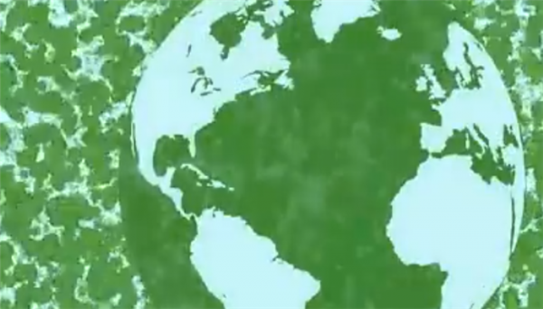 地球上最小的光合自养生物有哪些